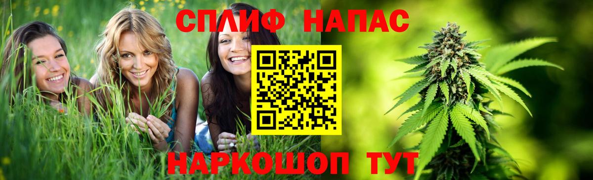 Шишки марихуана сатива  Вход с VPN  Марихуана VHQ  Бошки Шишки ГИДРОПОН  Салехард 